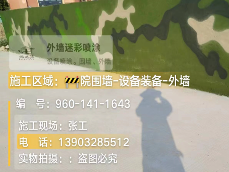 蚌埠 迷彩漆喷涂价格(按平方米计费)